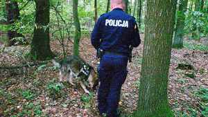 Policjant z psem tropiącym w lesie.