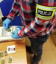 Policjant ważący marihuanę w koszuli w kratę na ręce odblask z napisem policja.