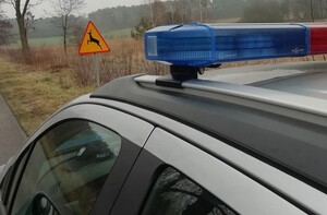 Znak drogowy ostrzegawczy i sarna na nim oraz radiowóz policyjny.