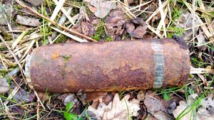 Niewybuch leżący na liściach.