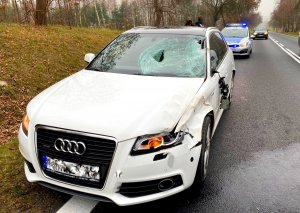 Samochód z rozbitym przodem i bokiem samochodu po zderzeniu z jeleniem, za nim stoi na drodze radiowóz policyjny.