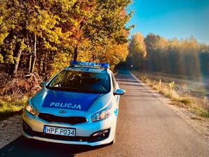 Radiowóz policyjny na drodze przy lesie.