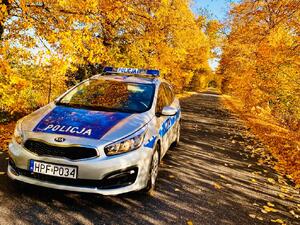 Radiowóz na drodze wzdłuż drzewa jesienne.