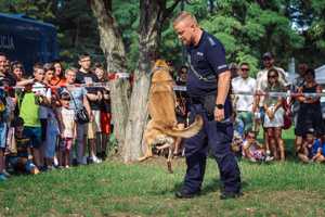 Policjant trenujący psa, obserwatorzy obok.