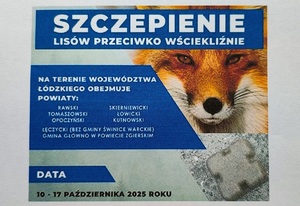 Napis szczepienie lisów, zdjęcie lisa.