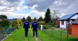 Policjanci idący przez ogródki działkowe.