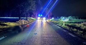 Droga , światła radiowozów oraz  auto na poboczu na dachu.
