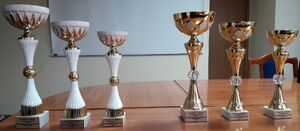 puchary dla uczestników turnieju